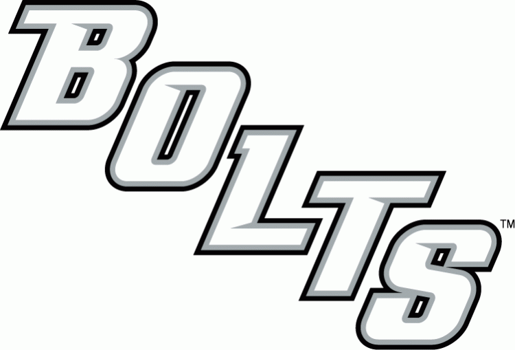 Tampa Bay Lightning 2008 09-Pres Wordmark Logo iron on paper